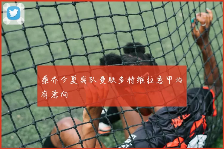 桑乔今夏离队曼联多特维拉意甲均有意向