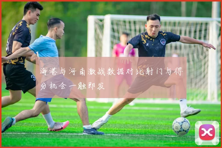 海港与河南激战数据对比射门与得分机会一触即发